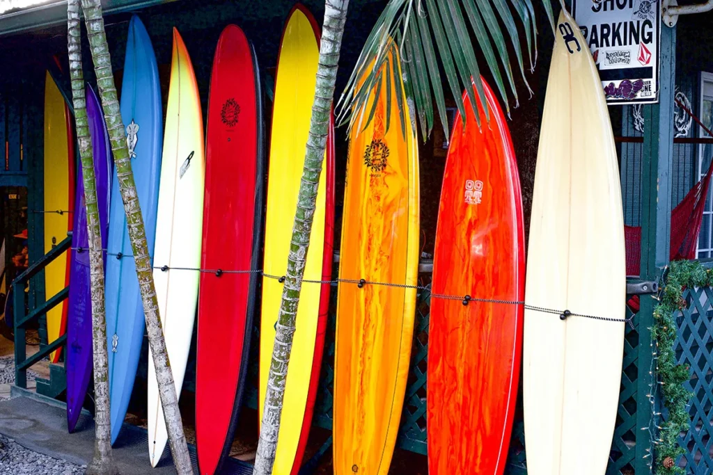 Standing surf boards photo